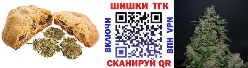 закладки  Новозыбков  hydra ONION  Еда ТГК марихуана 