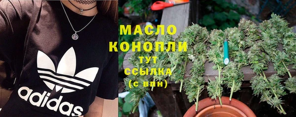 молекула духа Медвежьегорск