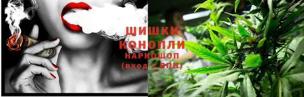 молекула духа Медвежьегорск