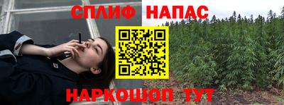 СК Тула