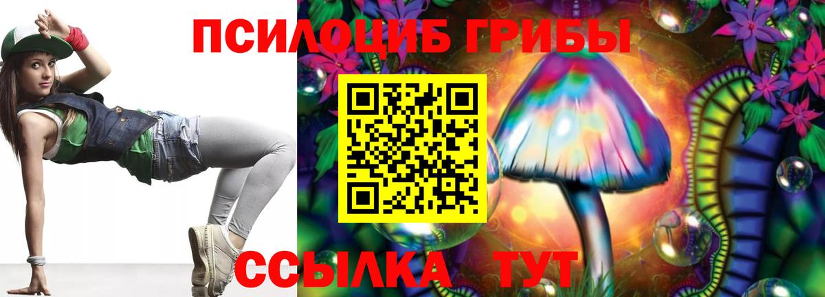 Галлюциногенные грибы Psilocybe Новозыбков