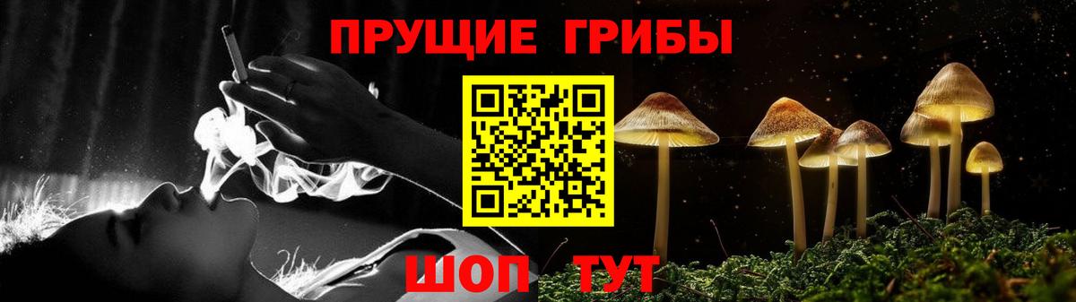 Псилоцибиновые грибы Magic Shrooms  Псилоцибиновые грибы MAGIC MUSHROOMS  Вход с VPN  Новозыбков 