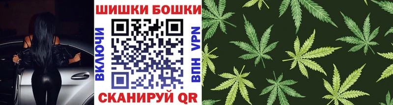 Канабис сатива Новозыбков