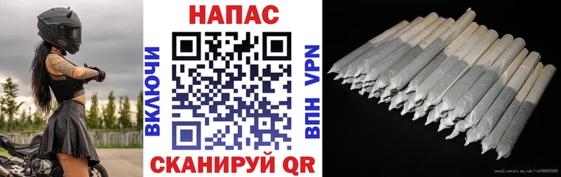 МЕГА маркетплейс  Новозыбков  Каннабис OG Kush 